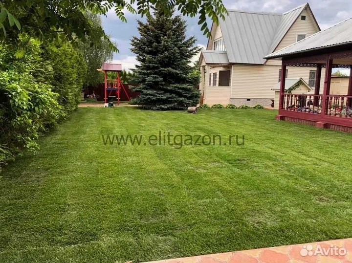 Рулонный газон от производителя