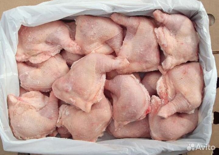 Куриное мясо / филе / грудка / бедро / окорочка