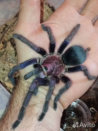 Фотосессия в студии с фотографом