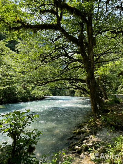 Индивидуальные экскурсии в абхазию