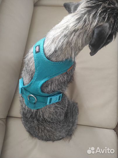 Шлейка Trixie Soft S (грудь 33-50см)