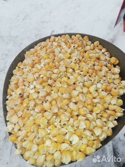 Корма для с/х животных