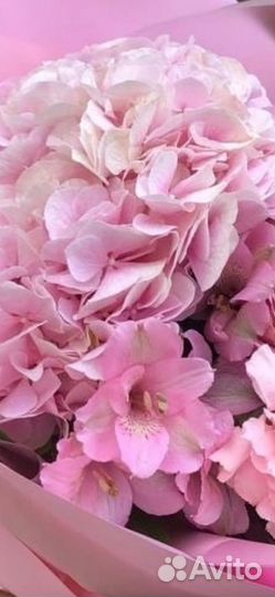 Красивый свежий букет красных роз 25 шт Тольятти