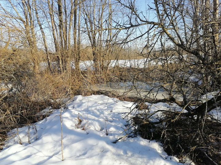 Участок 93 сот. (ИЖС)