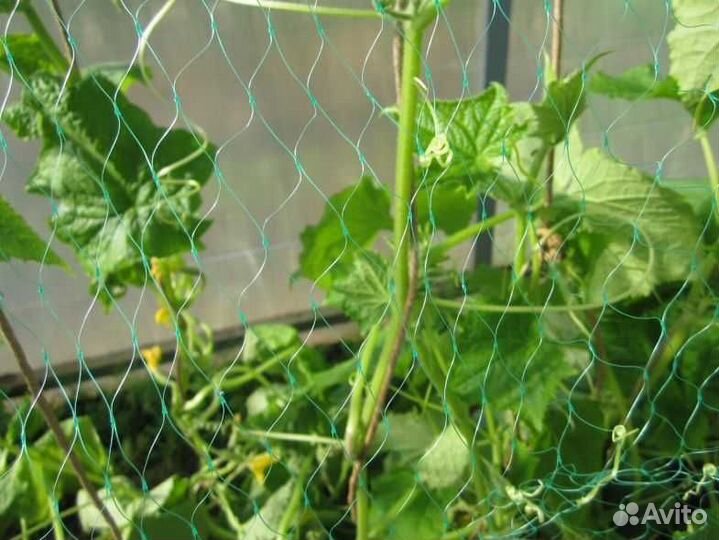 Сетка для огурцов/гороха шпалерная оптом