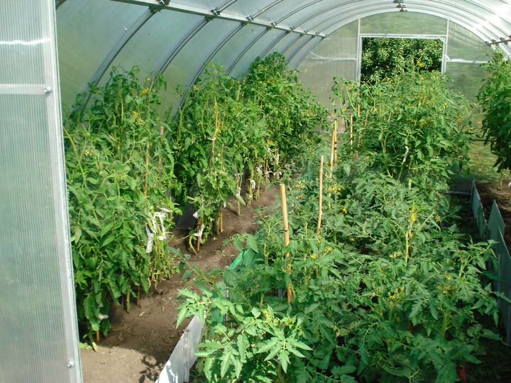 Дача 24 м² на участке 6 сот.