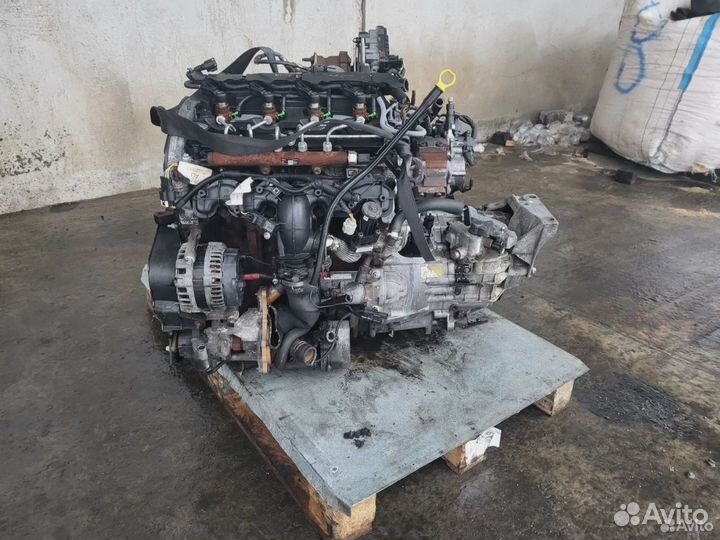 Двигатель (двс) Ford Transit drfb 2.2