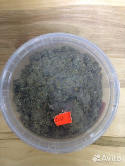 Прикормка Убойная