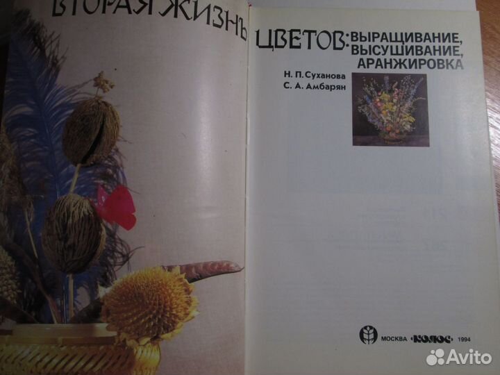 Композиции из сухоцветов