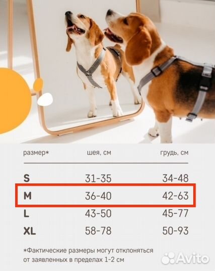 Шлейка для собак анатомическая (новая)