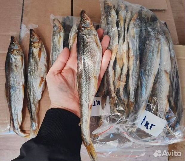 Икра, краб, креветка, рыба, морепродукты оптом