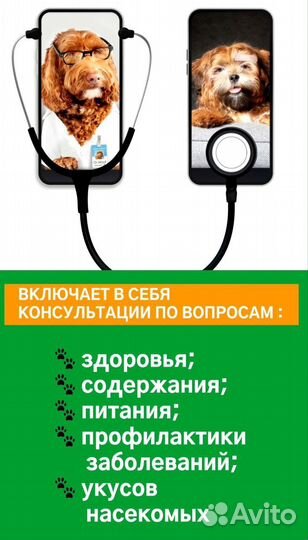 Телеветеринария