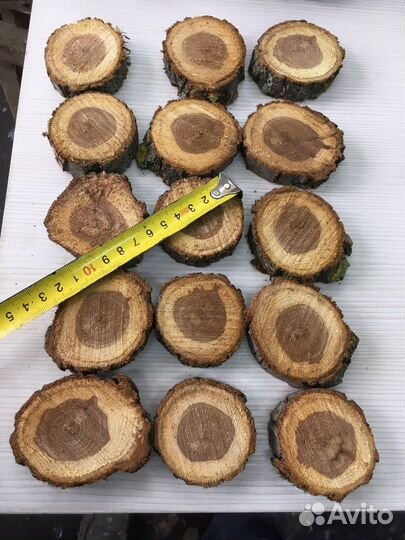 Спилы дерева для декора