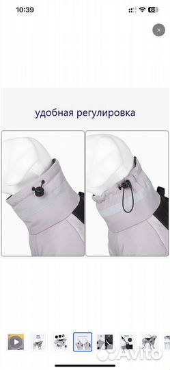 Куртка для средних собак