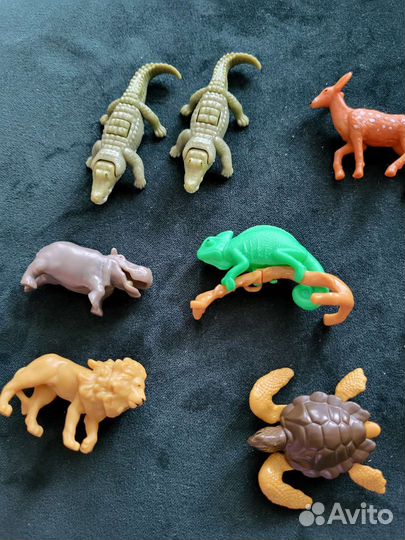 Киндер natoons