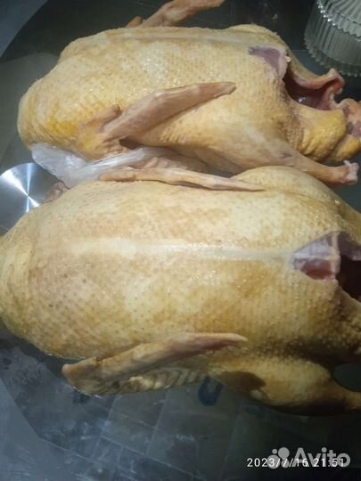 Мясо утки мулард