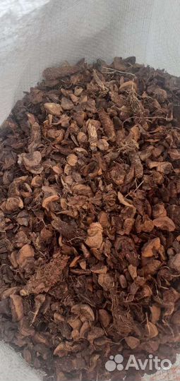 Тунга (шелуха кедровой шишки)