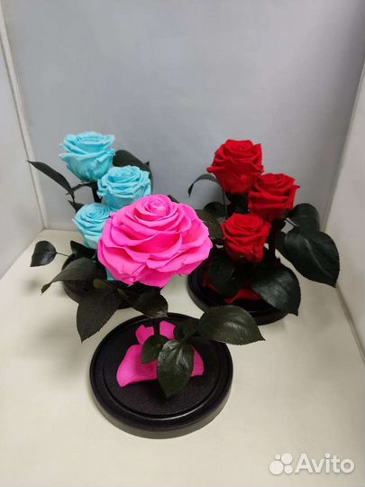 Цветы оптом