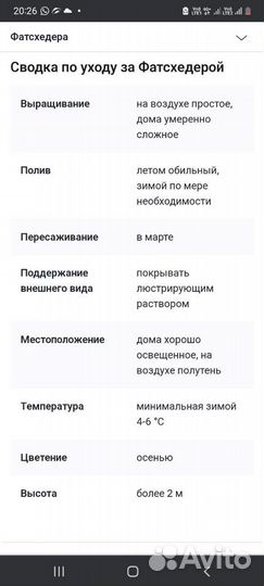 Фатсхедера