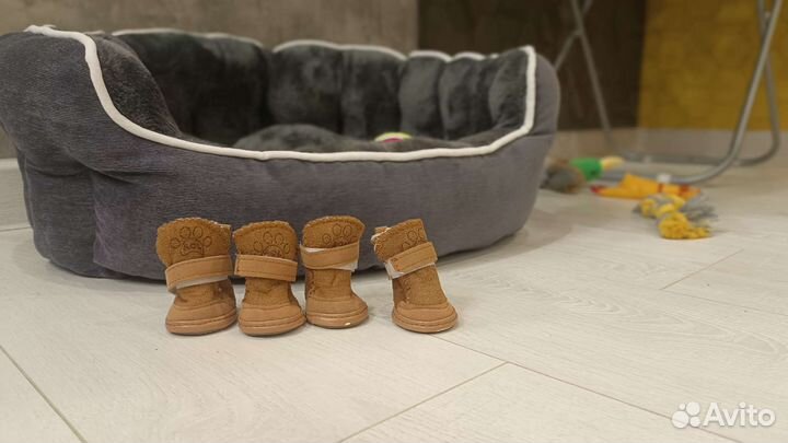 Обувь для маленьких собак