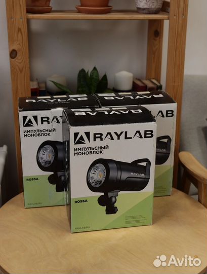 Raylab rossa Импульсный моноблок (300Вт/500Вт)