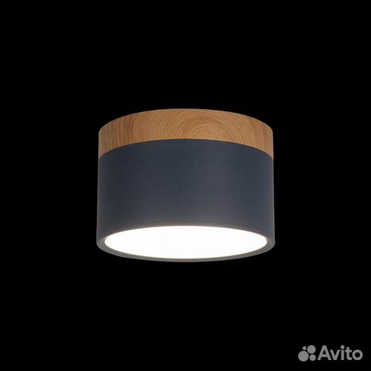 Накладной светильник Loft it Grape 10162 Blue