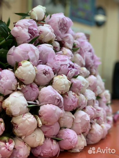 Ночной Продавец флорист