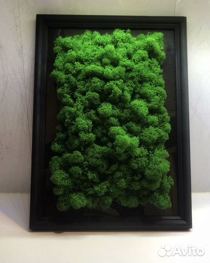 Картина из натурального стабилизированного мха