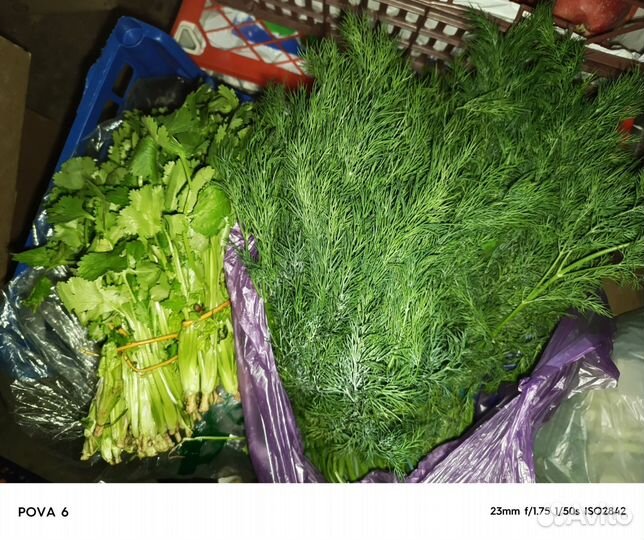 Опт и разница фруктов и овощей