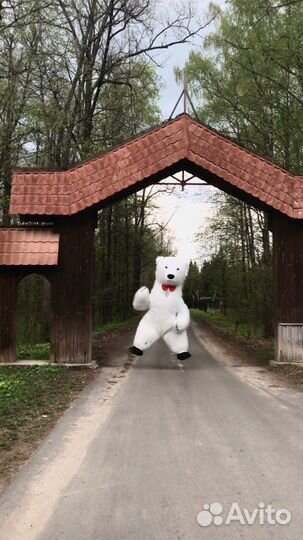 Белый Мишка Топтыжка поздравление