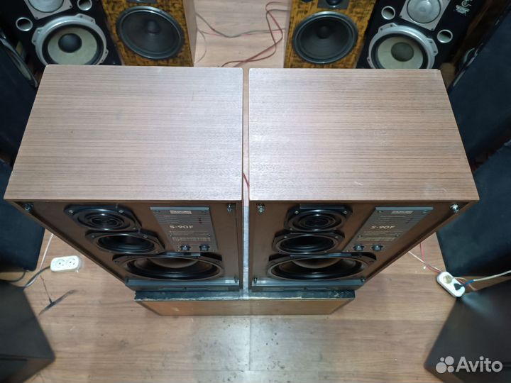 Колонки радиотехника S90F