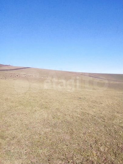 Участок 5,16 га (СНТ, ДНП)