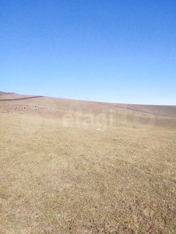 Участок 5,16 га (СНТ, ДНП)