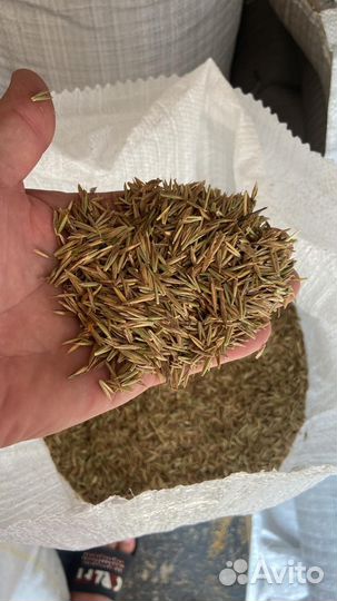 Разнотравие