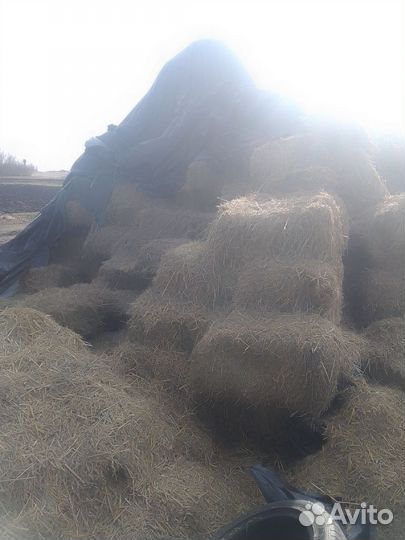 Сено тюках