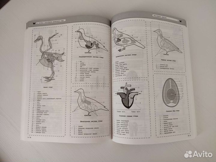 Наглядный школьный курс: Биология.Матеманика.Химия