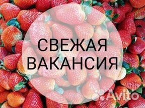 Консьерж-Вахтер (Подработка)