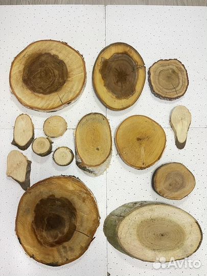 Спилы и срезы деревьев