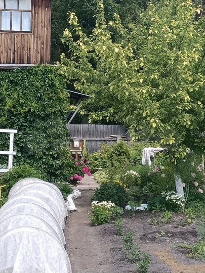 Дача 53 м² на участке 9,2 сот.