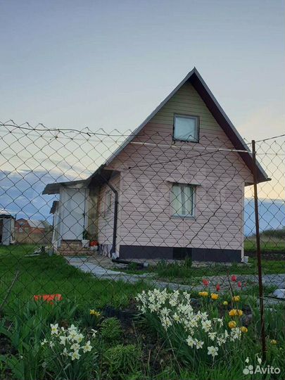 Дом 40 м² на участке 25 сот.