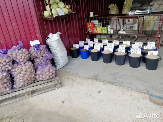 Корм для птиц