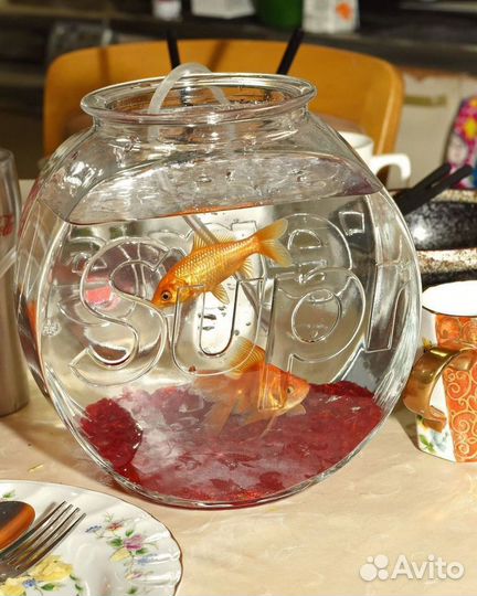 Аквариум Supreme Оригинал