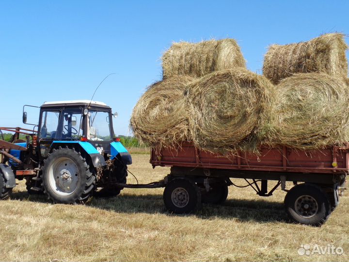 Сено. Урожай 2023 г. Доставка
