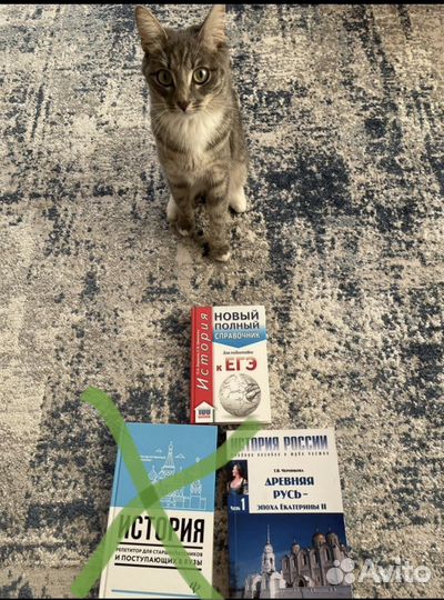 Егэ по истории учебники