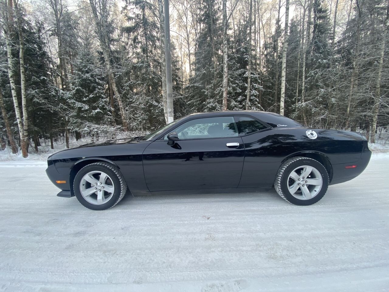 Dodge Challenger: фото владельца