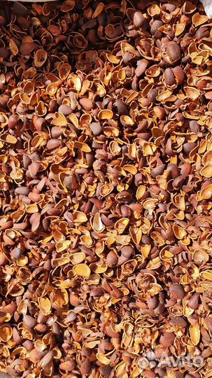 Кора сосны мульча