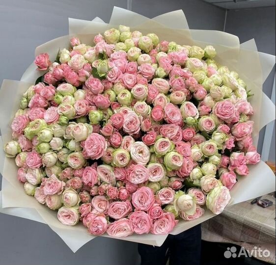 Кустовые пионовидные розы