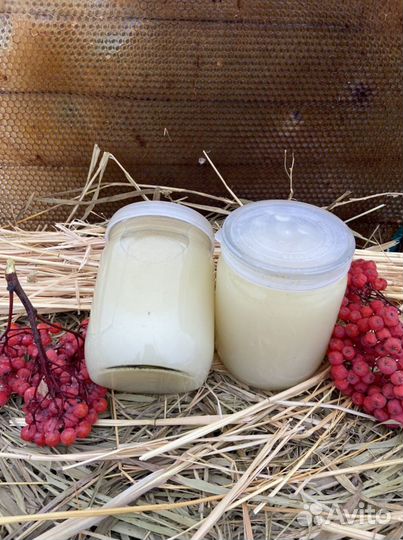 Барсучий жир барсук