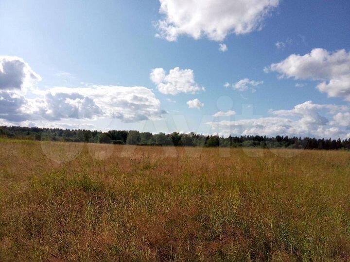 Участок 31,84 га (СНТ, ДНП)