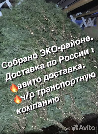 Пихтовые веники